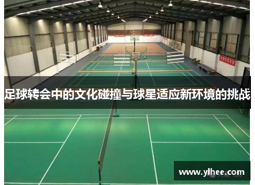 足球转会中的文化碰撞与球星适应新环境的挑战